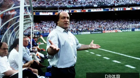 拼多多2财报解析DB体育app：新十年战略开启，高质量发展迈向新篇章产业价值飞跃之道